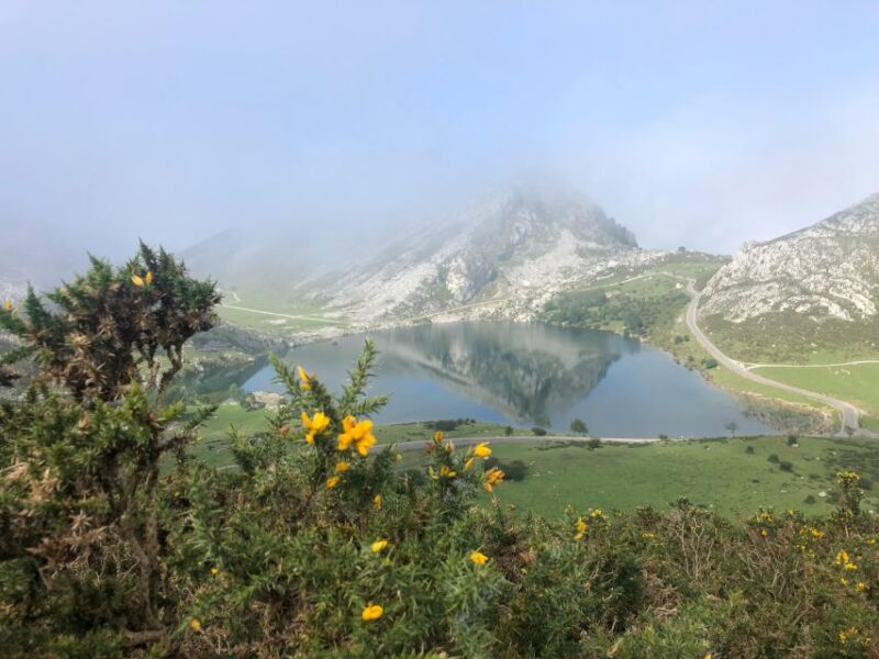 Private Tour From Oviedo to Covadonga and Europe Peaks Lakes - Itinerary Highlights