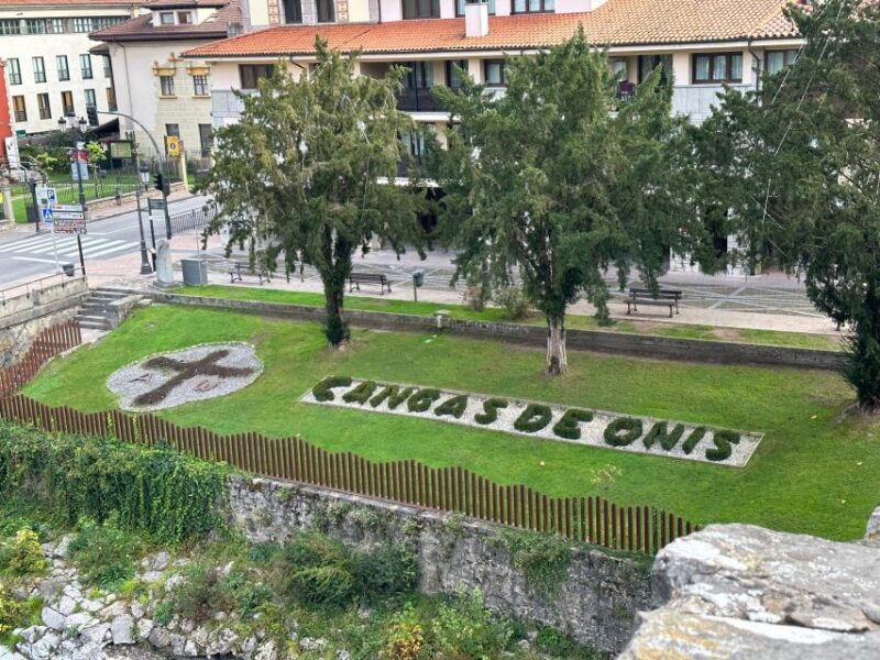 Private Tour From Oviedo to Covadonga and Europe Peaks Lakes - Tour Highlights