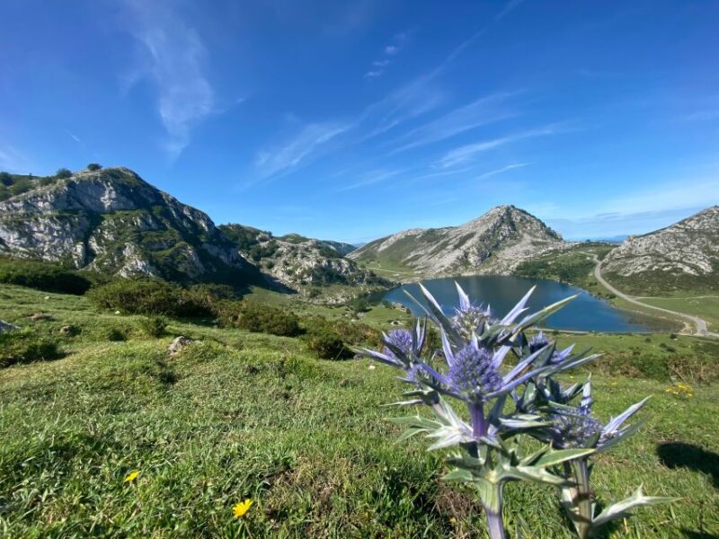 Private Tour From Oviedo to Covadonga and Europe Peaks Lakes - Customer Feedback