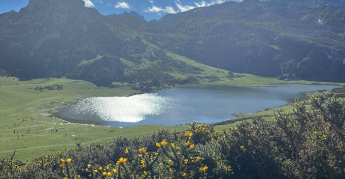 Private Tour From Oviedo to Covadonga and Europe Peaks Lakes - Tour Duration and Pricing