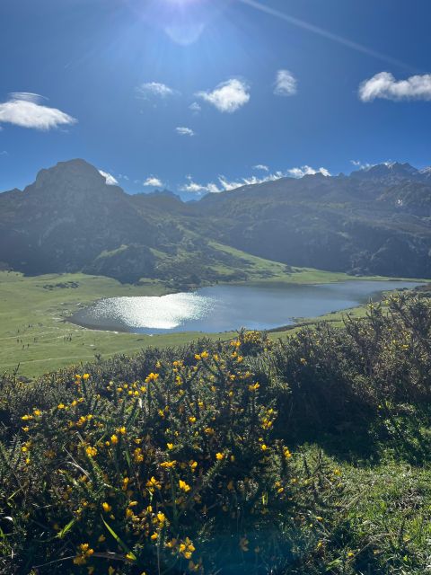 Private Tour From Oviedo to Covadonga and Europe Peaks Lakes - Cancellation Policy
