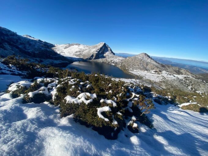 Private Tour From Oviedo to Covadonga and Europe Peaks Lakes - Frequently Asked Questions