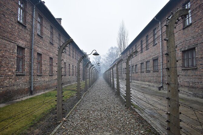 Private tour from Prague to Terezin, Konigstein and Dresden - Why This Tour Is a Great Choice