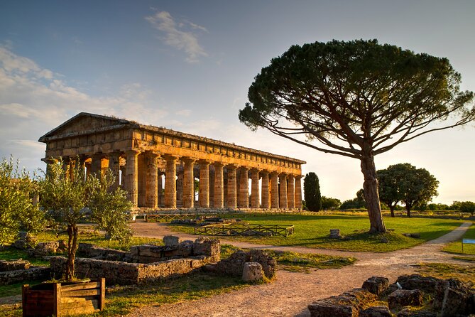 Private Tour From Salerno to Vietri Sul Mare, Pompeii and Paestum - Pricing and Booking