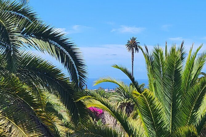 Private Tour from the Port of Las Palmas to Teror Firgas Arucas - Practical Details and Considerations