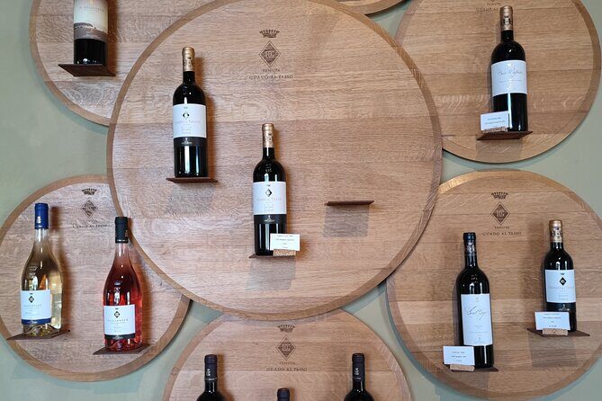 Private Tour from the Port of Livorno to Bolgheri - The Experience in Detail