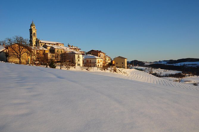 Private tour from Turin: Full day Langhe Region with its Colors and Flavors - A Deep Dive into the Langhe Experience