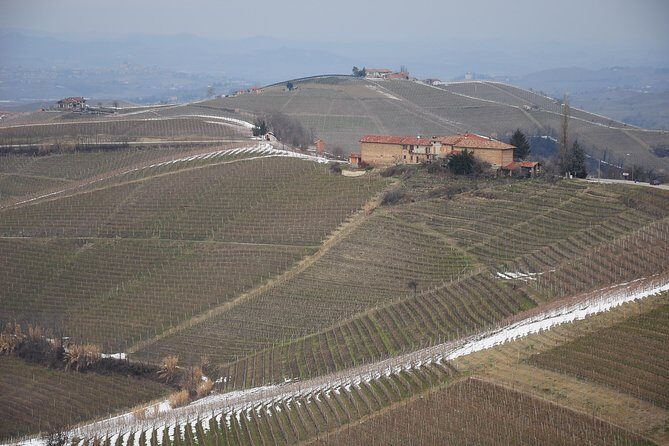Private tour from Turin: Full day Langhe Region with its Colors and Flavors - Who Should Consider This Tour?