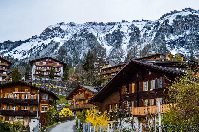 Private tour from Zurich to Interlaken and Lauterbrunnen Valley - Who Will Love This Tour?