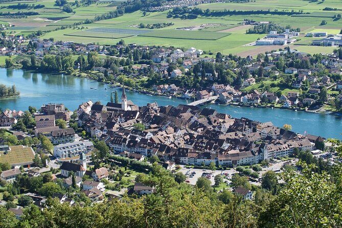 Private tour from Zurich to Rhine Falls and Stein am Rhein - The Sum Up