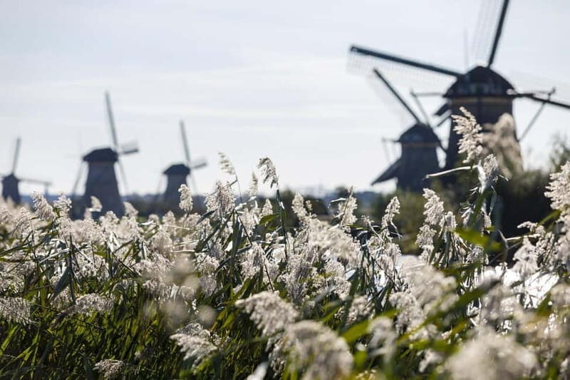 Private Tour Frrom Rotterdam: Kinderdijk&Amsterdam in a Day - Whats Included and Why It Matters