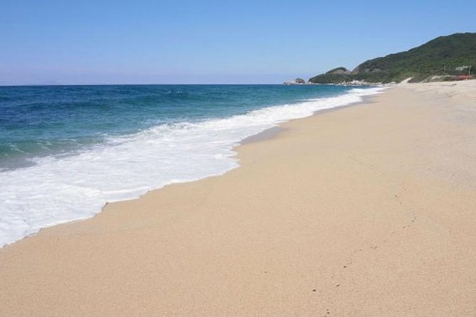 Private Tour: Full-Day Walking Tour With Professional Local Guide in Yakushima Island - Meeting and Pickup Details