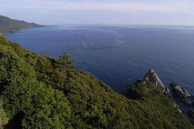 Private Tour: Full-Day Walking Tour With Professional Local Guide in Yakushima Island - Tour Stops and Activities