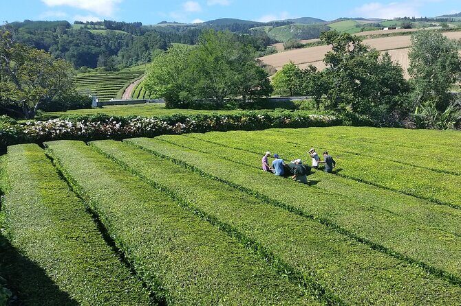 Private Tour Furnas Lake & Hot Springs - Who Will Get the Most Out of This Tour?