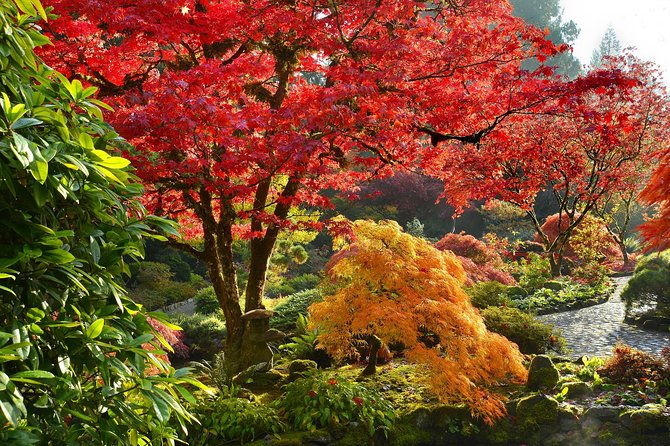 Private Tour: Gardens of Vancouver - Explore Dr. Sun Yat Sen Garden