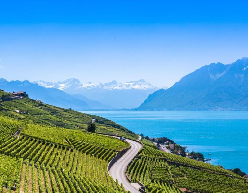 Private Tour Geneva-Gruyères: Chocolate and Cheese Factory - Highlights and Experiences