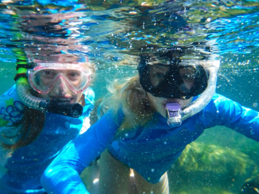 Private Tour: Great Snorkeling Adventure at the Riviera Maya - Key Points
