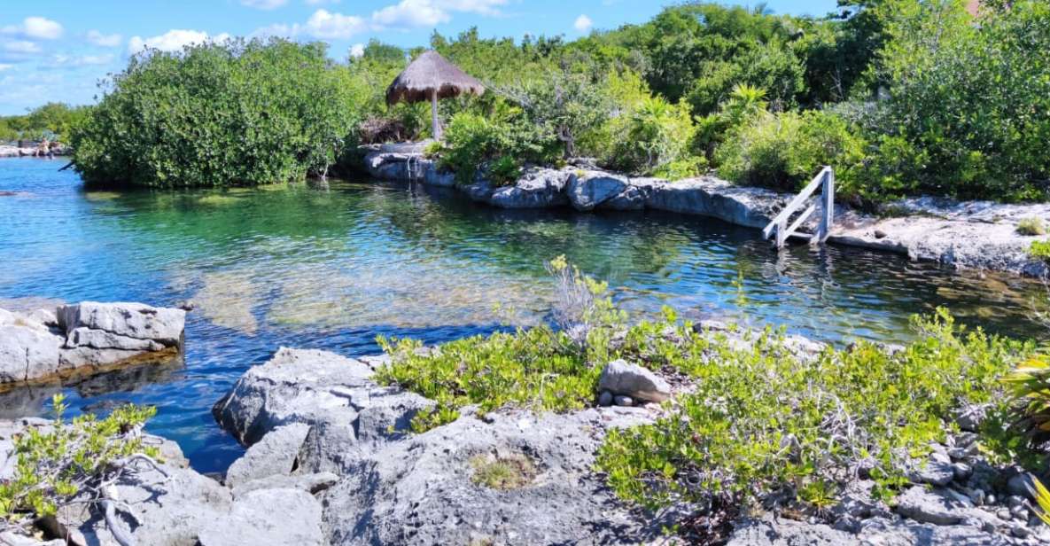 Private Tour: Great Snorkeling Adventure at the Riviera Maya - Exploring the Mesmerizing Cenotes