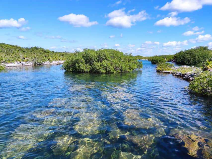 Private Tour: Great Snorkeling Adventure at the Riviera Maya - Important Tour Restrictions and Considerations