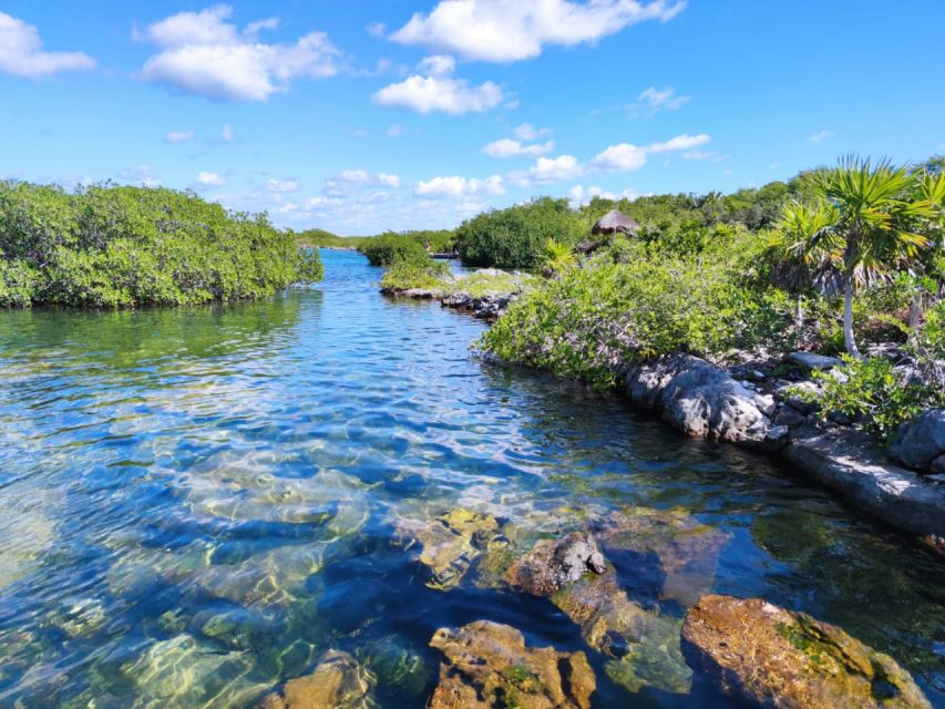 Private Tour: Great Snorkeling Adventure at the Riviera Maya - Frequently Asked Questions
