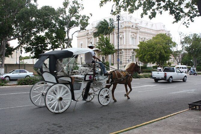 Private Tour Guide in Merida, 100% customisable - Final Thoughts: Who Will Appreciate This Tour?