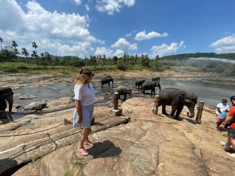 private tour guide in Sri lanka : 5 Days Tour Package - A Deep Dive into the 5-Day Tour Experience