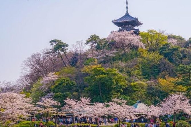 Private Tour Guide Yokohama With a Local: Kickstart Your Trip, Personalized - Private Tour Experience