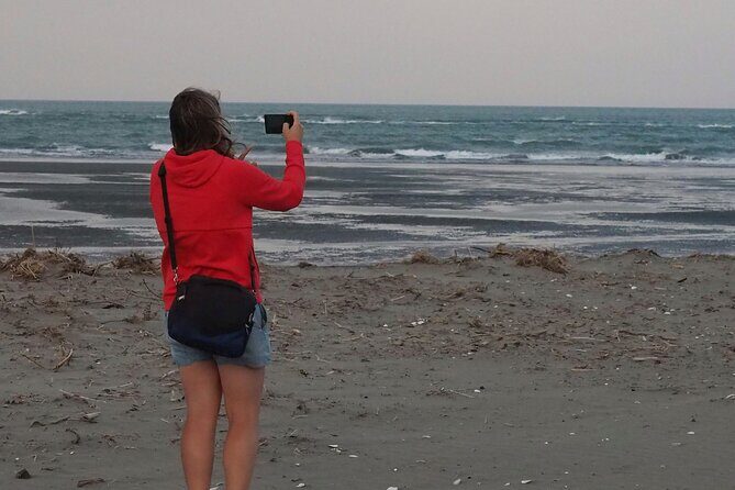 Private Tour Highlights of Christchurch NZ - Pricing and Value