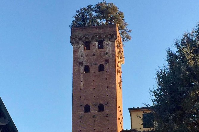 Private Tour: Historic Lucca by Bike - Health and Safety Measures