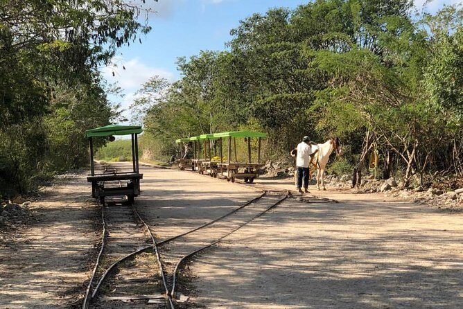 Private Tour: Homun Cenotes Day Trip - FAQ