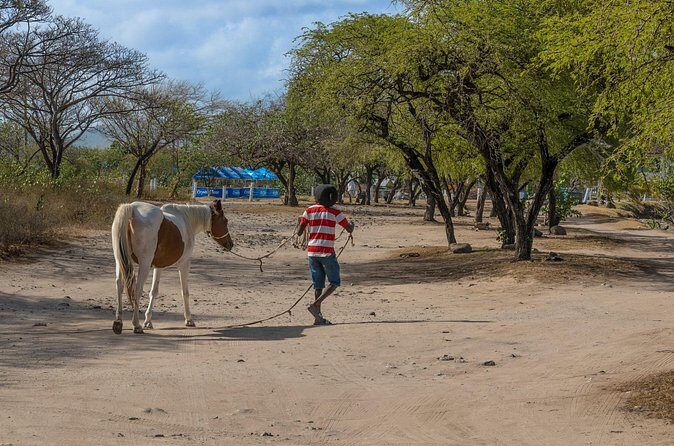 Private Tour Horseback Riding and Beach in St Lucia - Final Thoughts