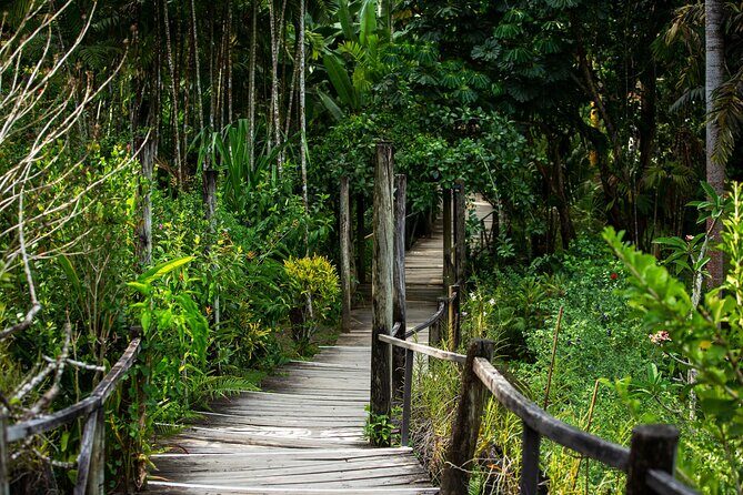 Private Tour: Hot spings & Sleeping Giant Garden hiking Adventure - Who Should Consider This Tour?