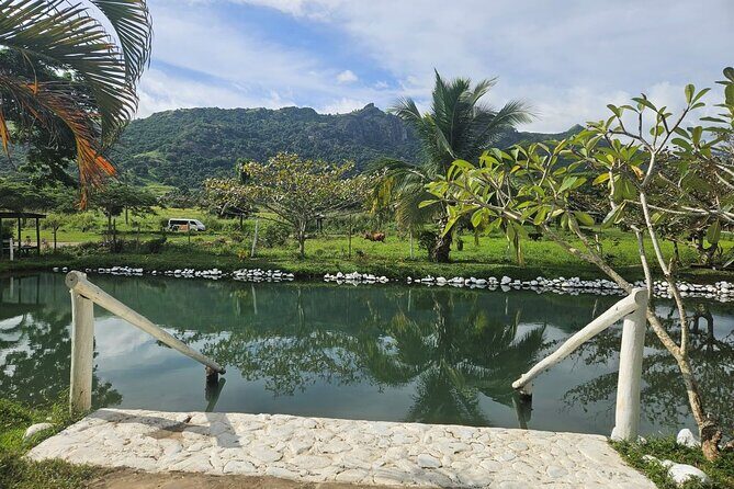 Private Tour: Hot spings & Sleeping Giant Garden hiking Adventure - The Sum Up