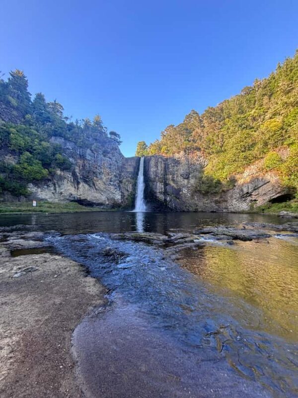 Private Tour: Hunua Falls, Blue Springs & Mclaren waterfall - Who Will Love This Tour?
