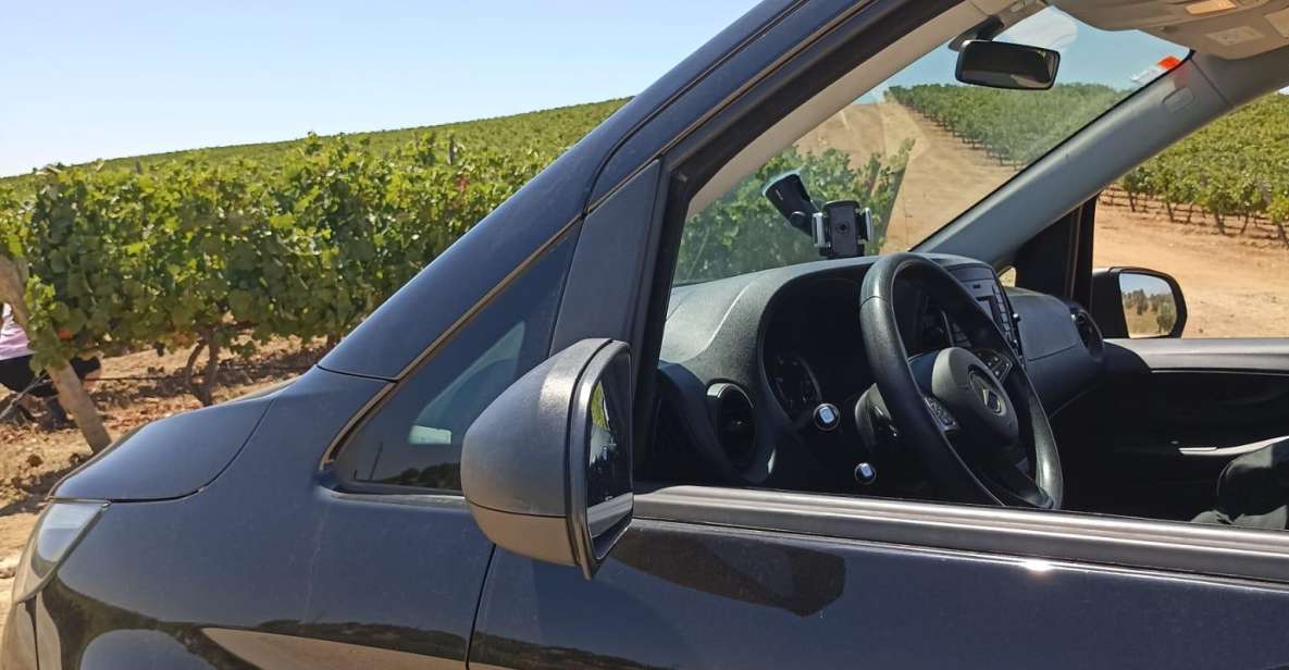 Private Tour in Alentejo: Évora, Wine Tasting, and Monsaraz - Key Points