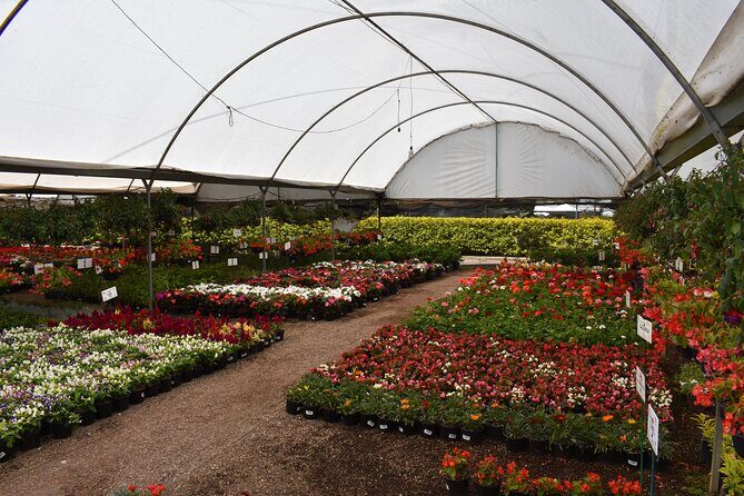 Private Tour in Atlixco and Chipilo from Puebla - Exploring Atlixco: Gardens, Streets, and Flavors