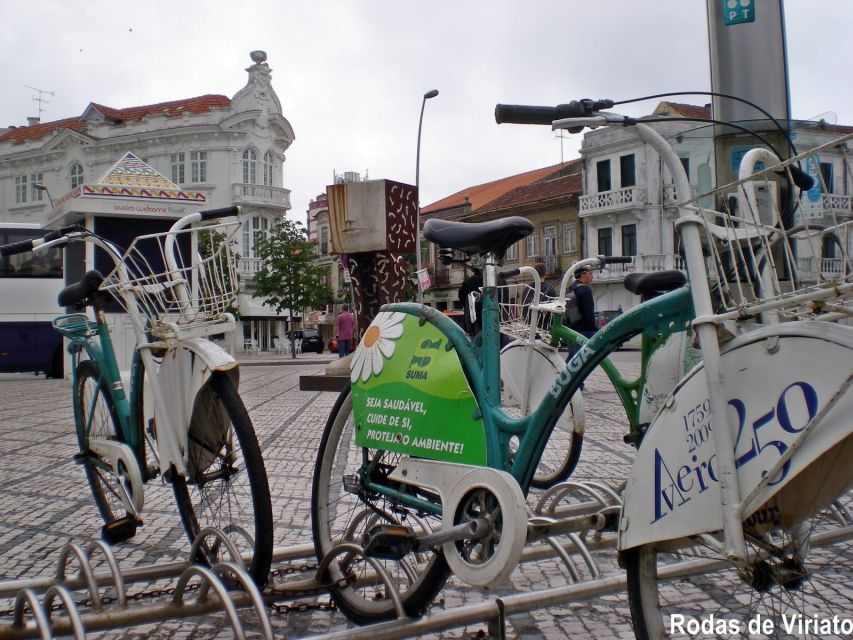 Private Tour in Aveiro With Guide En English - Exploring the Canals