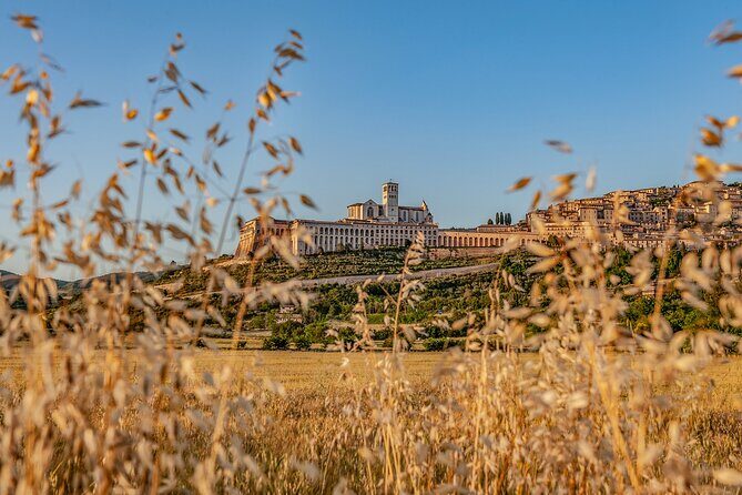 Private Tour in Basilica of St. Francis of Assisi - FAQ