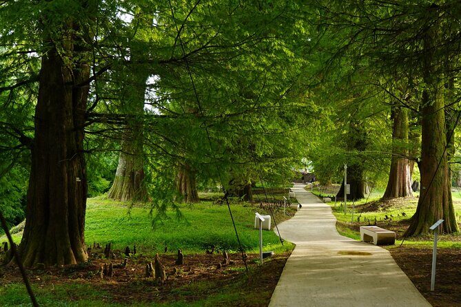 Private Tour in Batumi and Dendrological Park from Kutaisi - FAQ