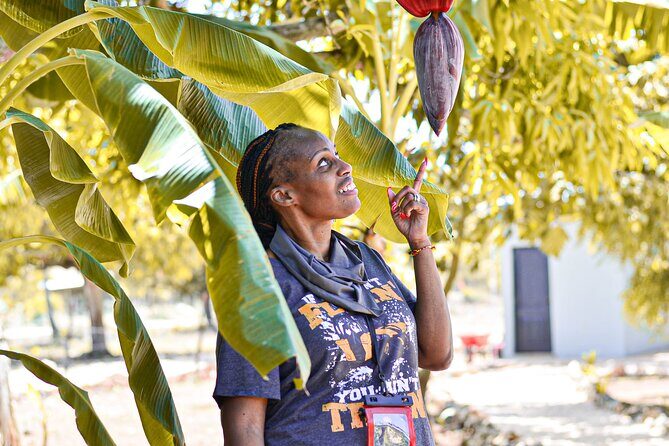 Private Tour in Buggy Punta Cana : Caves, Beaches and Organic Estate - Who Should Consider This Tour?