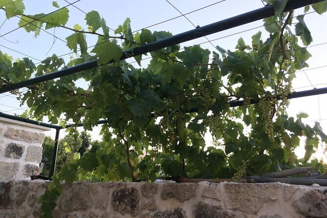 Private Tour in Chania Monasteries - FAQ