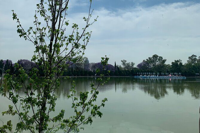 Private Tour in Chapultepec and Museum of Anthropology - Authenticity & Traveler Perspectives