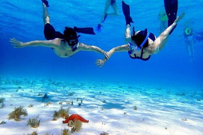 Private Tour in Cozumel El Cielo Sandbar and Reef Snorkeling - An In-Depth Look at the Cozumel Snorkeling Adventure