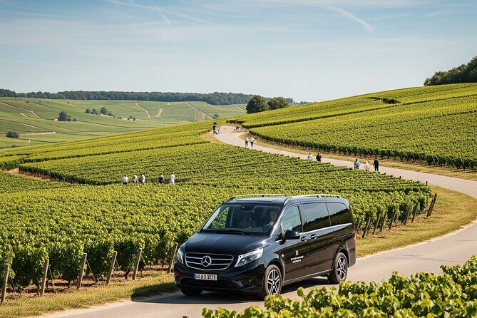 Private Tour in Dijon with your Official Tour Guide - Final Thoughts