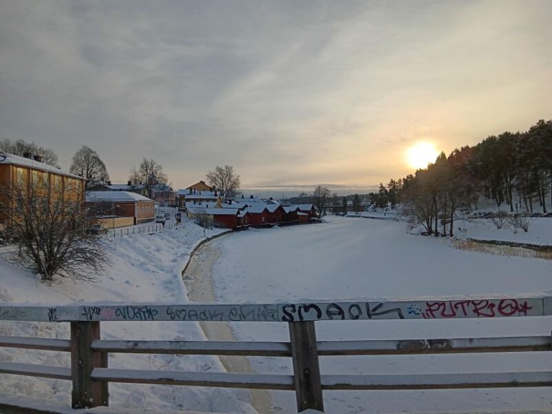 Private Tour in Helsinki and Porvoo - Transportation and Experience