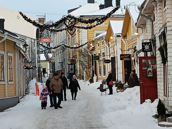 Private Tour in Helsinki and Porvoo - Accessibility Features