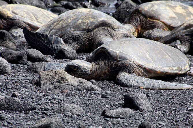 Private Tour in Hilo Island of Hawaii - FAQ