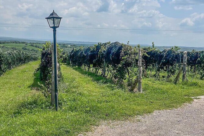 Private Tour in Jalostotitlán and Cerca Blanca Vineyard - What to Expect from the Private Tour in Jalostotitlán and Cerca Blanca Vineyard