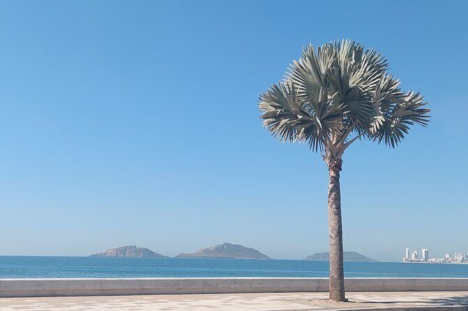 Private Tour in Mazatlan - The Sum Up: Who Will Love This Tour?