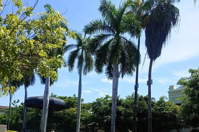 Private Tour in Mazatlan - FAQ